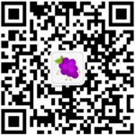 Vipservice03